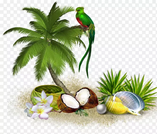 树椰子剪贴画-热带岛屿