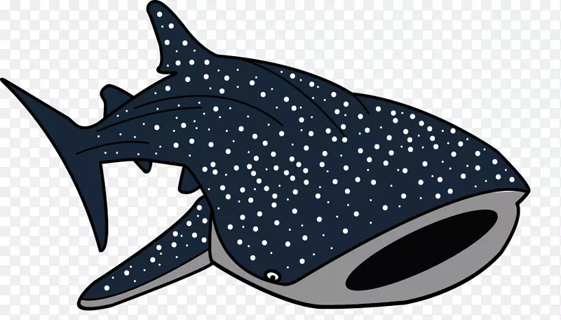 鲸鲨画夹艺术-卡通鲨鱼