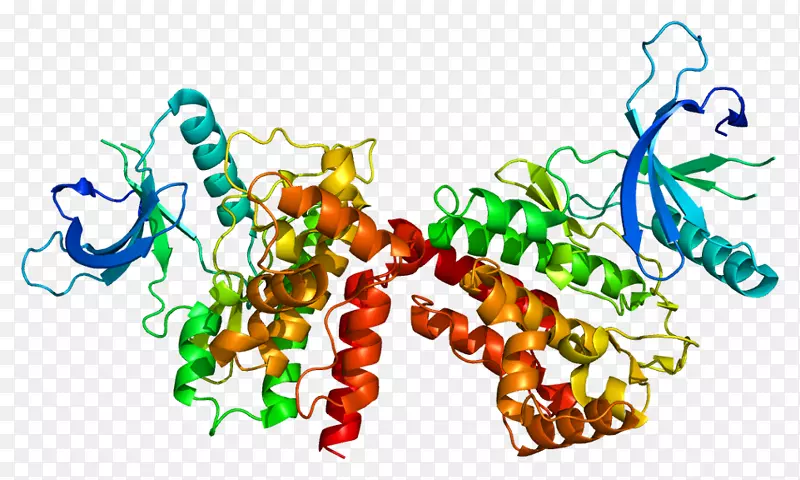 Janus激酶2 jak-stat信号通路原发性血小板增多症小鼠