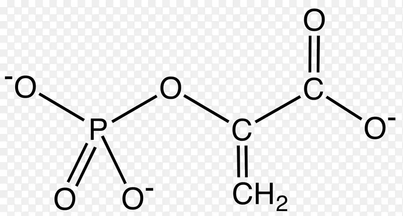 天冬酰胺氨基酸丙氨酸分子化学物质化学能