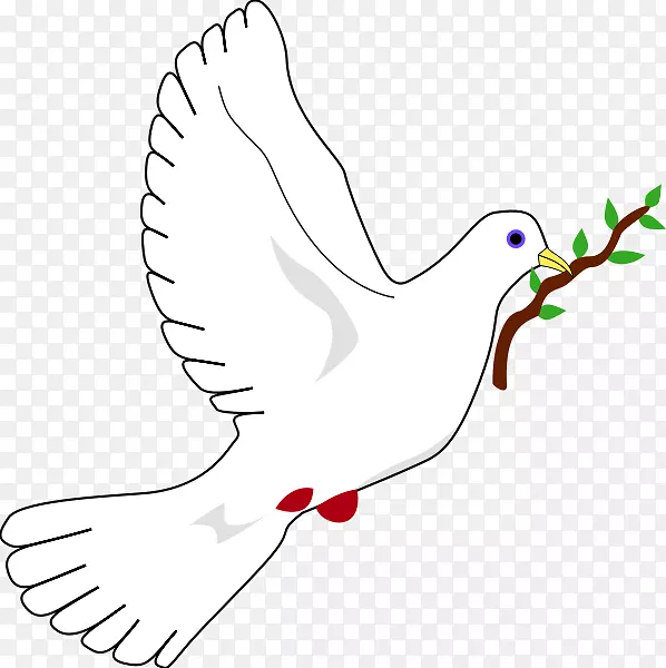 鸽子是和平的象征？和平的鸽子。