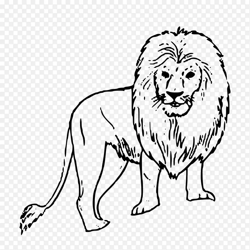 狮子黑白画片艺术-狮子插图