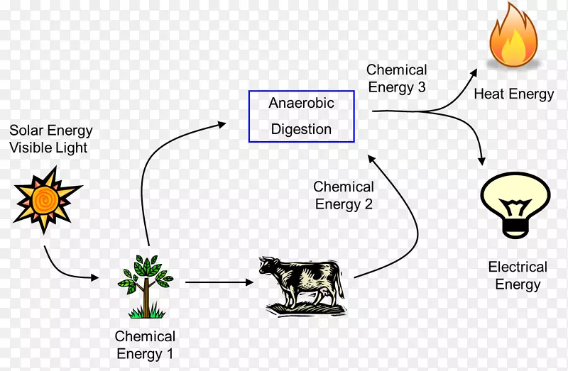 能量转换能流太阳能电能植物材料