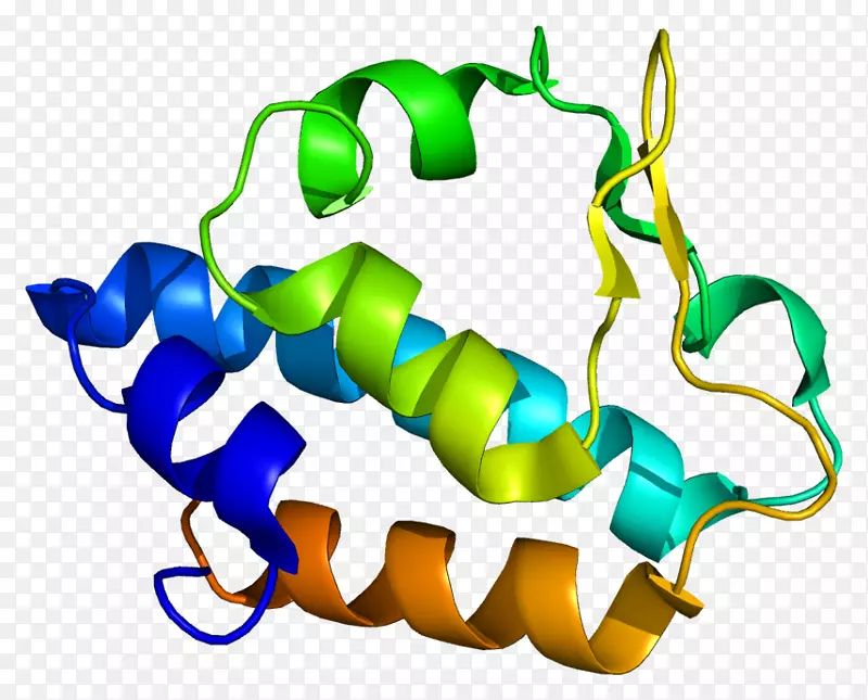 NGLY1n-连接糖基化天冬酰胺糖基