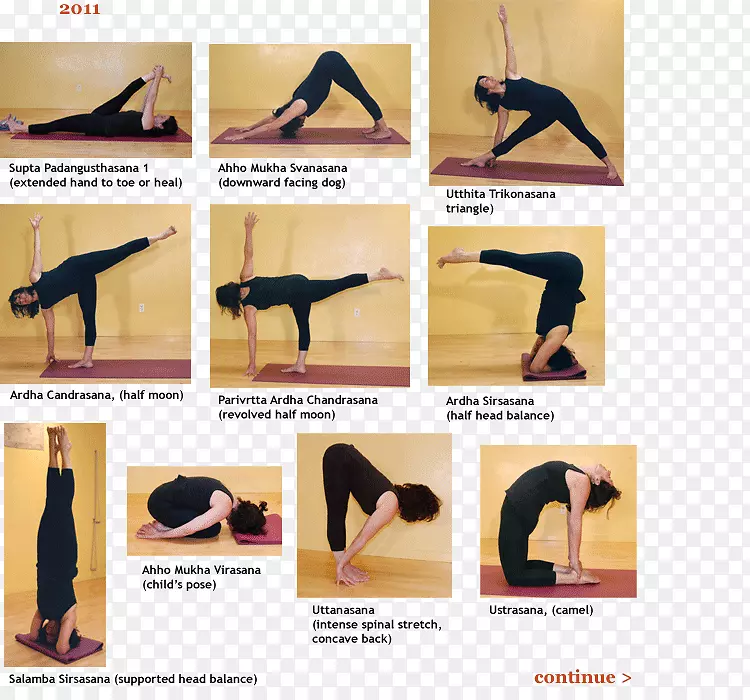 面向初学者的艾扬格瑜伽：经典体式介绍哈他瑜伽和普拉提垫-练习