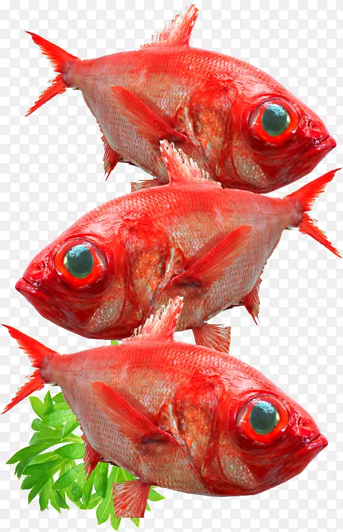 星型龙虾海鲜市场鱼产品北红鱼深海鱼