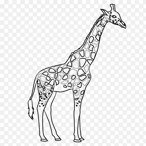 长颈鹿线艺术轮廓画彩色纸面