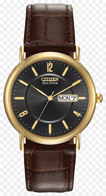 生态驱动手表表带市民持有珠宝.棕色指示器