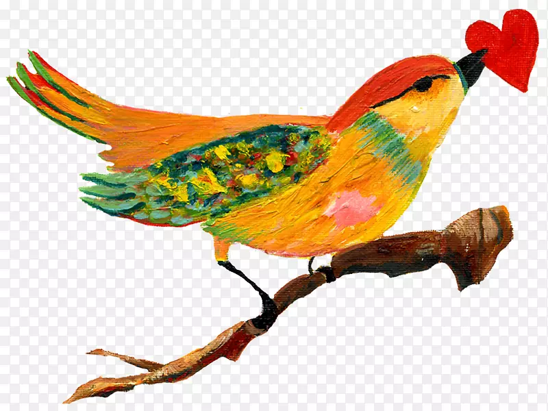 鸟类解剖心脏羽毛喙-鸟笼和心树