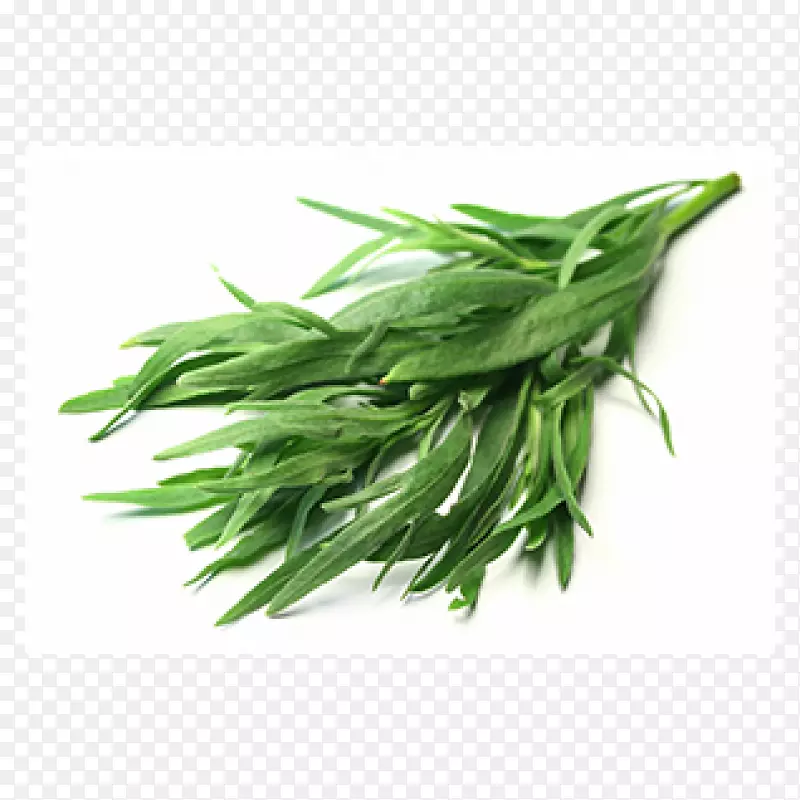 龙葵草本植物，清澈的食物-油菜花