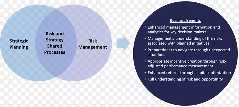 组织战略规划风险管理业务流程