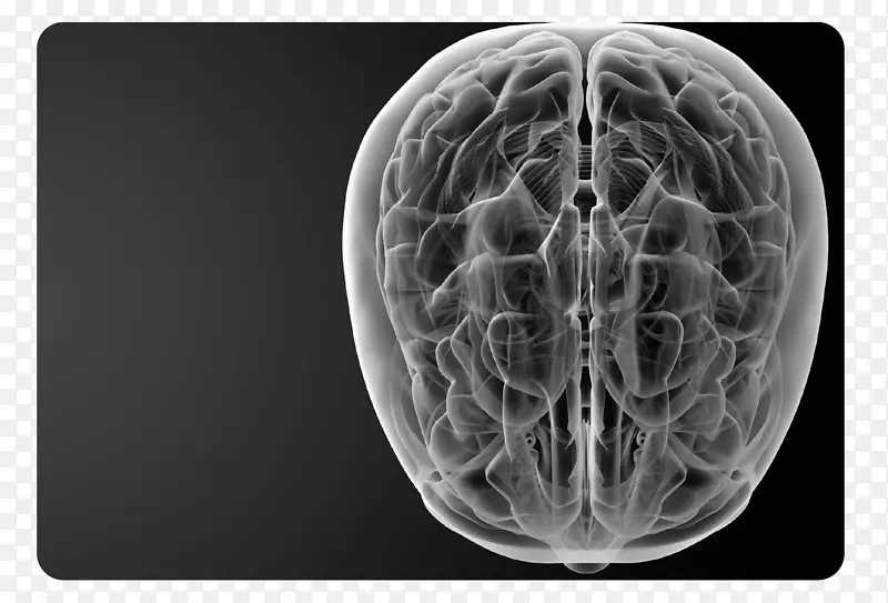 人脑神经化学健康理疗-晚期癌症