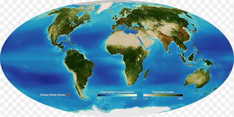 地球生物圈科学SeaWiFS生命-珊瑚