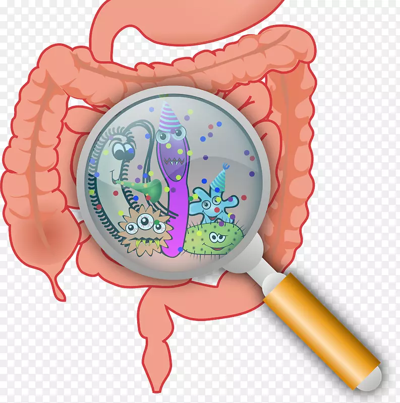 胃肠道菌群胃肠道疾病漏肠综合征-健康