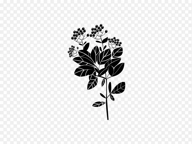 一天，爱，问候，恐惧，话语-人