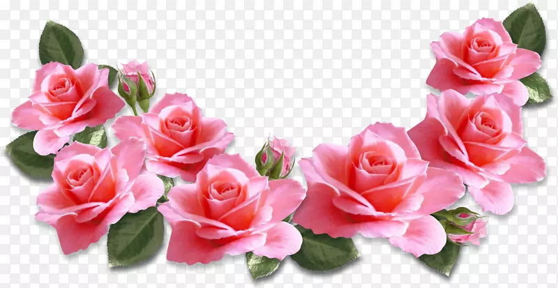 玫瑰粉色花朵剪贴画-玫瑰
