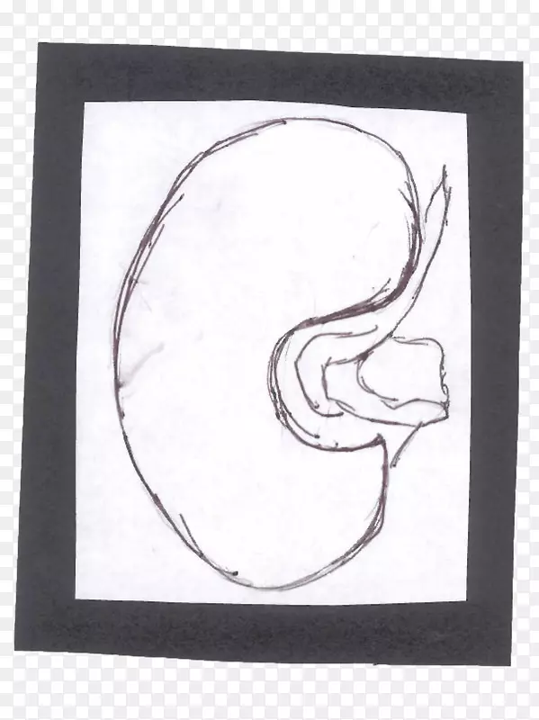绘画视觉艺术肾脏符号