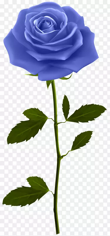 蓝色玫瑰花紫色剪贴画-玫瑰