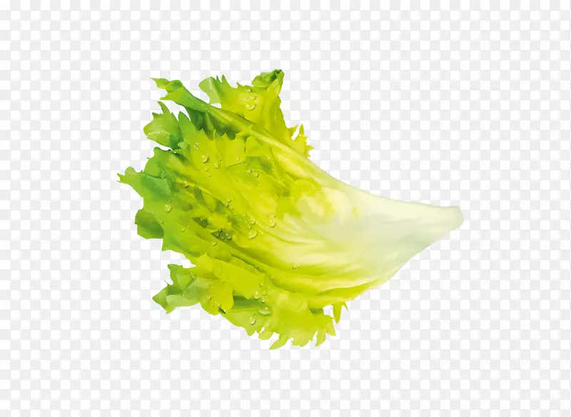 叶菜冰山生菜沙拉-蔬菜