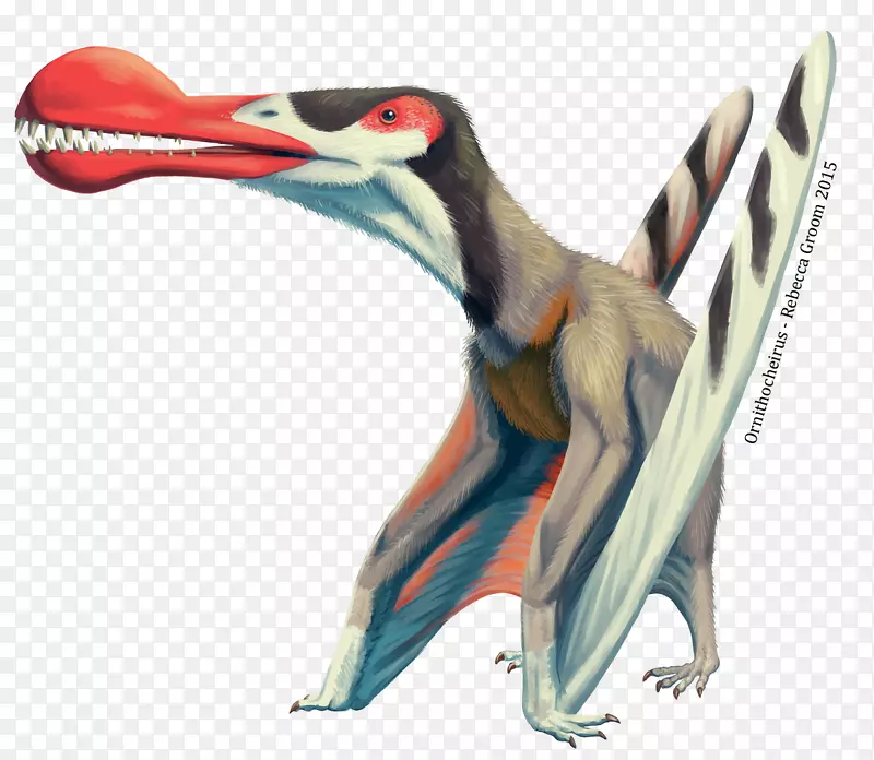 鸟类翼龙，蛇颈龙恐龙，Anhanguera-恐龙，Anhanguera，Anhanguera