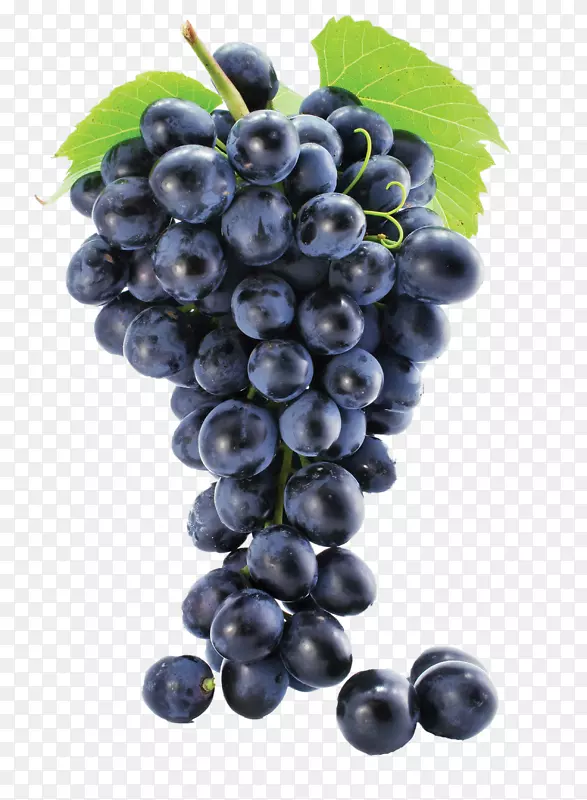 普通葡萄叶葡萄籽提取物必须葡萄