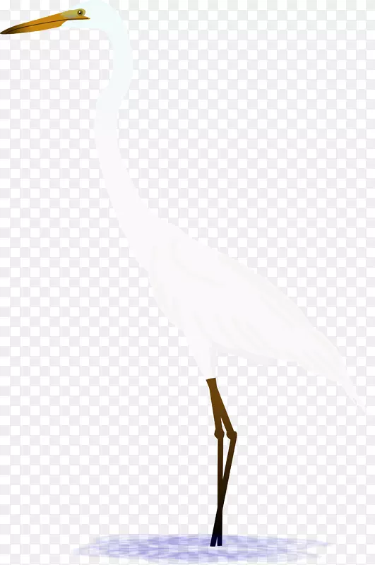 水鸟苍鹭鹤鸟