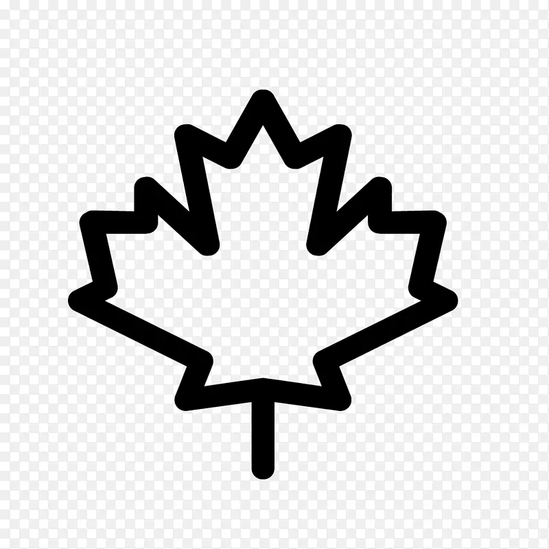 加拿大枫叶电脑图标-加拿大