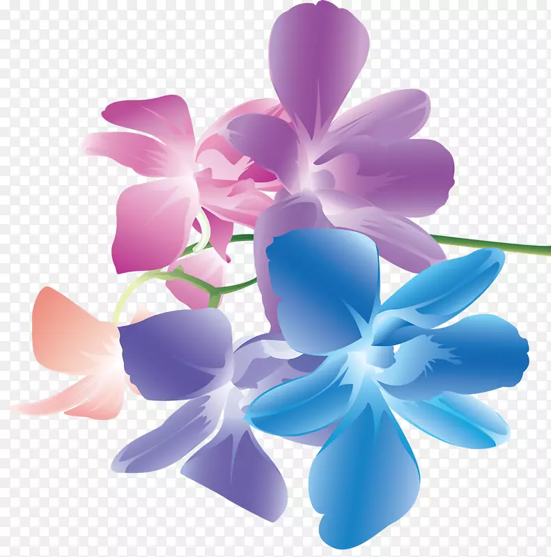 花卉图形设计-花卉