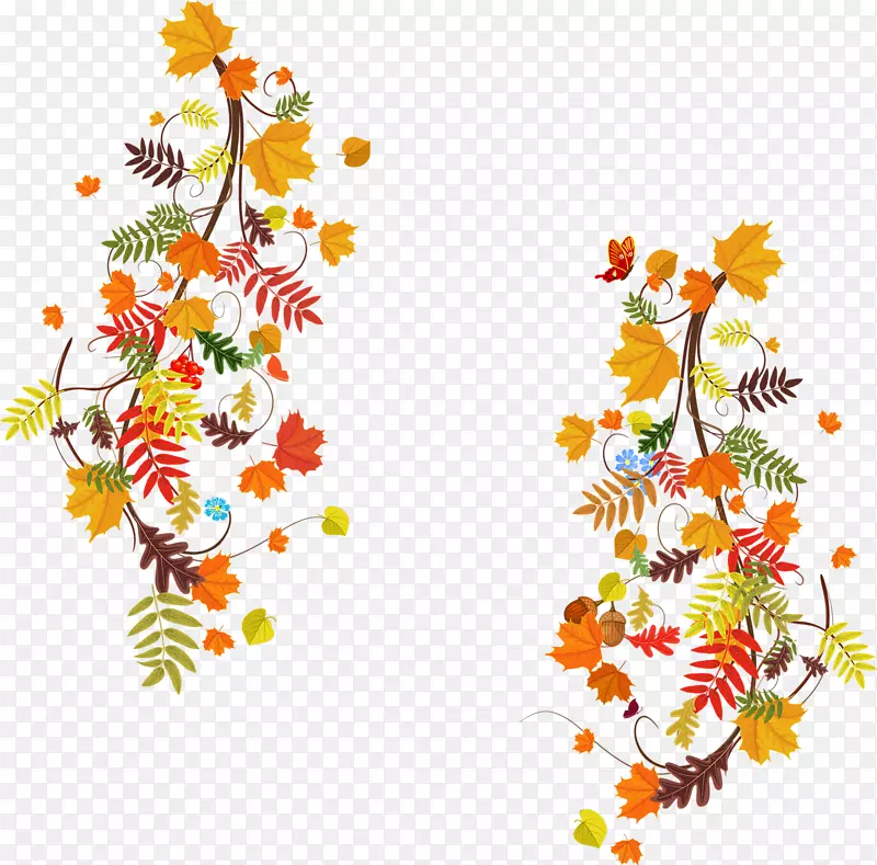 秋叶色花卉设计-叶