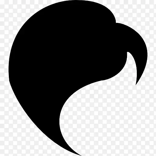 梳子黑发美容院电脑图标-头发