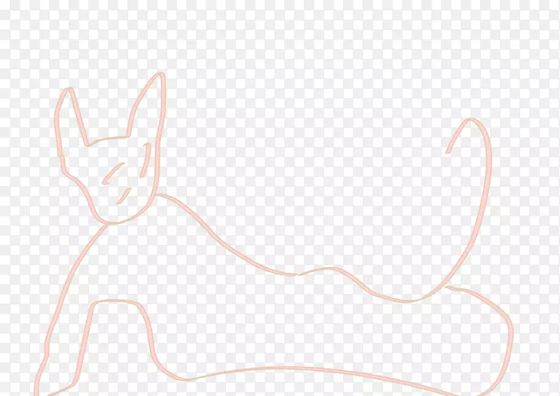 野兔猫画-猫