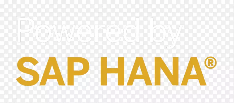 SAP s/4HANA sap ERP sap Hana企业资源规划业务套件-业务