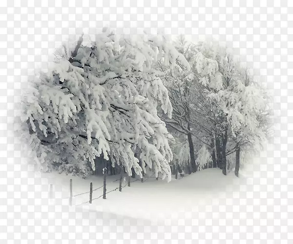 冬季风暴桌面壁纸4k分辨率雪-雪