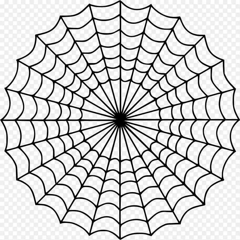 蜘蛛网着色书儿童绘图-蜘蛛