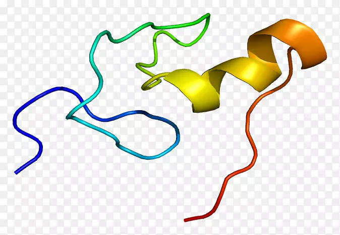 GATA1gata转录因子锌指蛋白