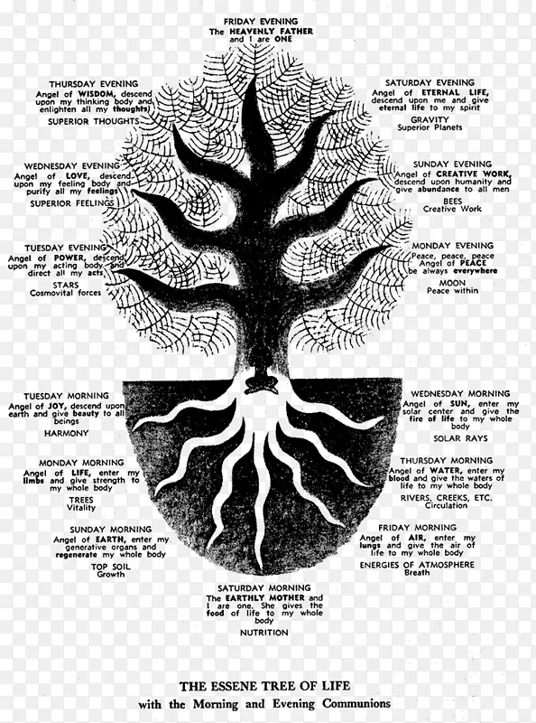 Essenes的生命之树，Qumran，从以诺到死海，卷轴，kabbalah