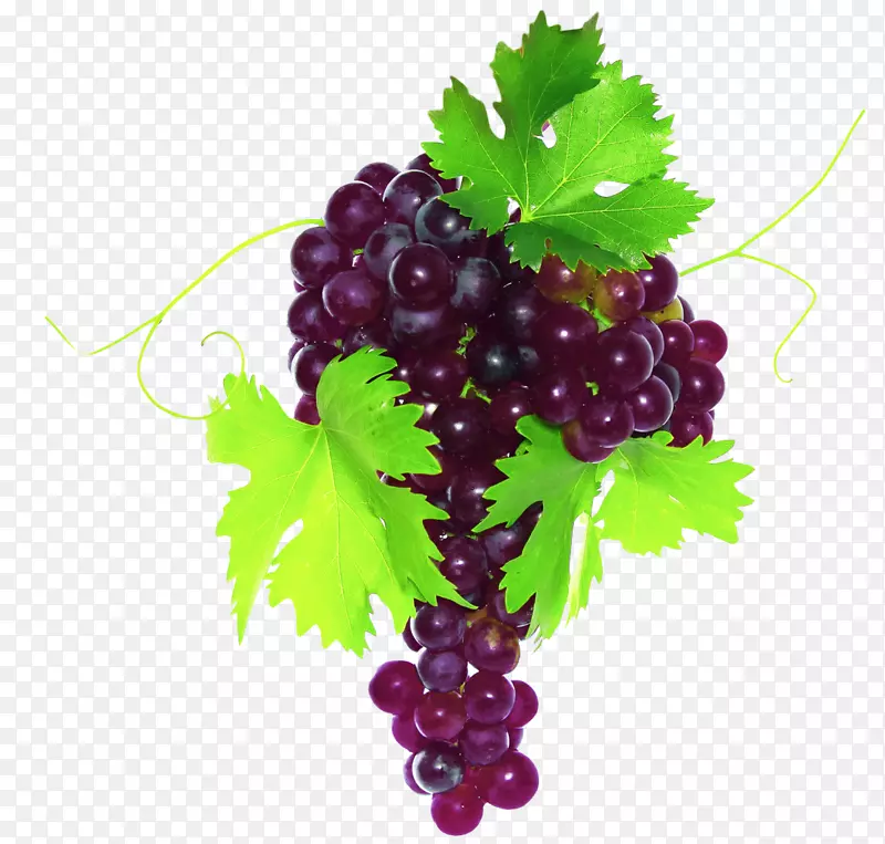 普通葡萄、水果、蔬菜、葡萄叶-葡萄