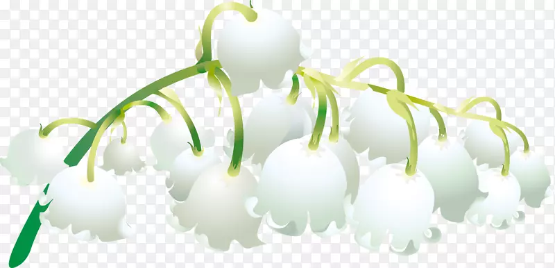 花束桌面壁纸夹艺术-花