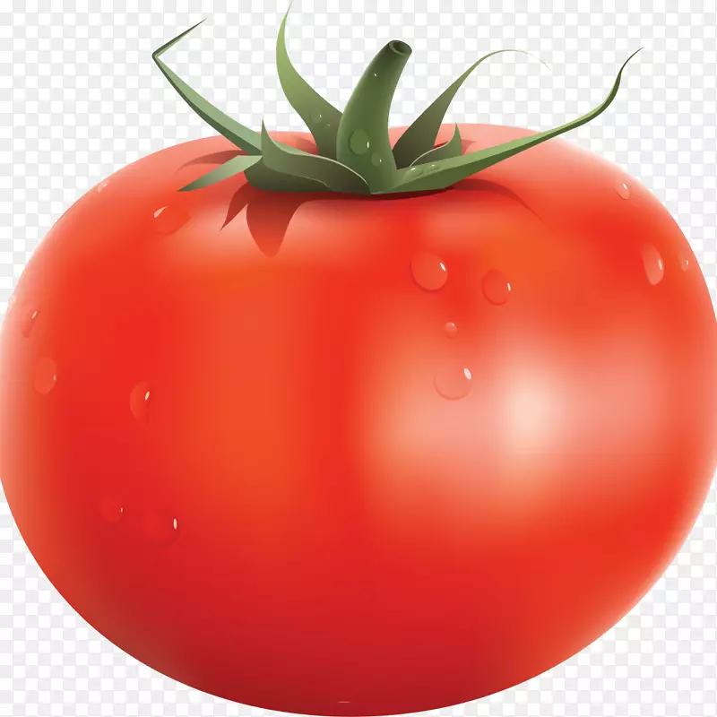 意大利番茄派番茄汤樱桃番茄剪贴画-蔬菜