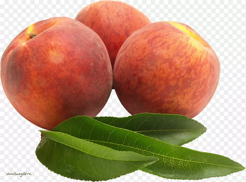 水果油桃食品-樱桃
