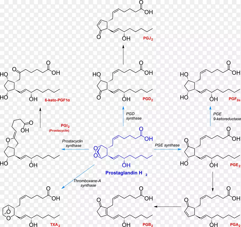 前列腺素H2-血栓素化学合成前列环素