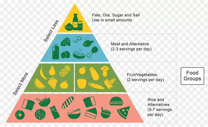 食物金字塔健康饮食碳水化合物-健康