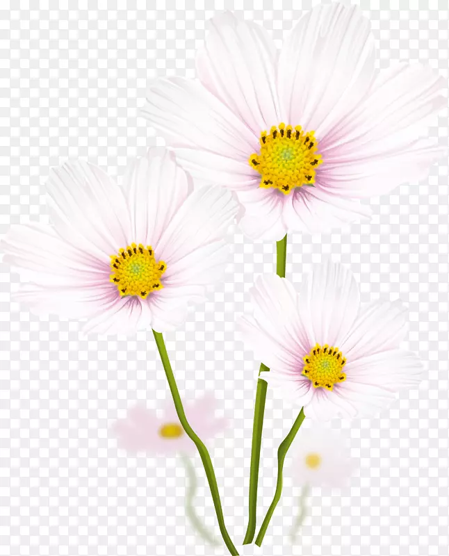 花卉平面设计剪贴画-花卉