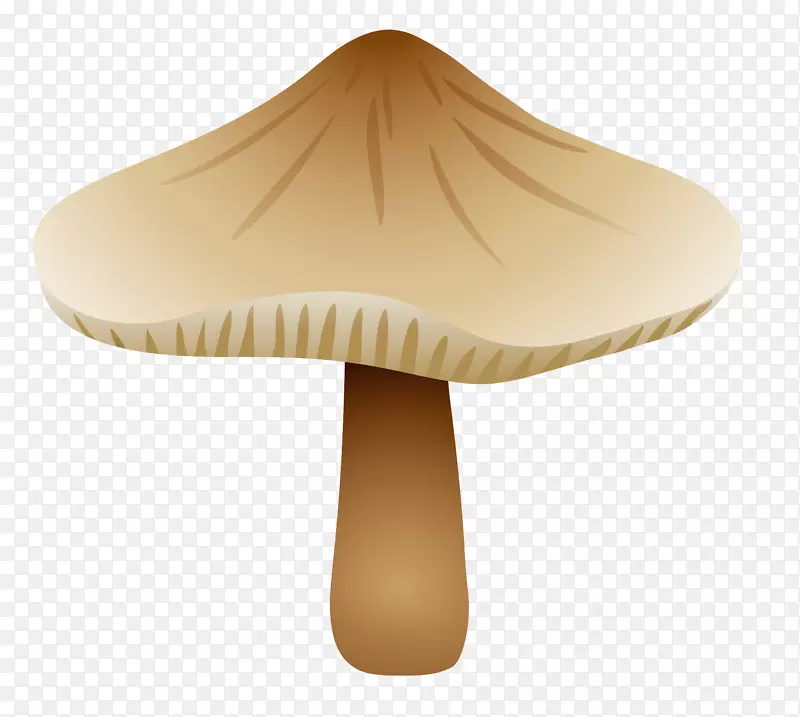 食用菌绘制植物学图解-蘑菇