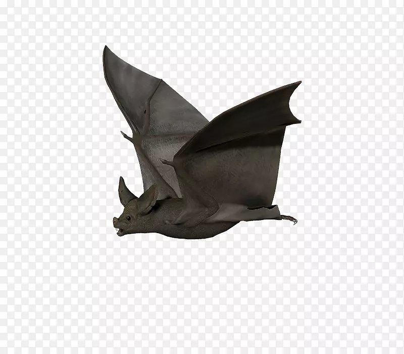 蝙蝠绘图-蝙蝠