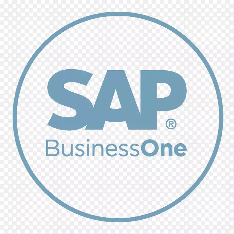 SAP业务1 sap se sap hana sap业务通过设计企业资源规划-业务