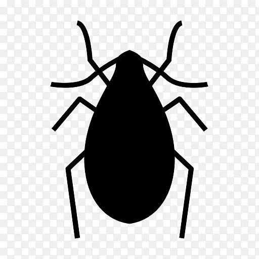 真正的臭虫床虫害虫控制蚊虫-昆虫