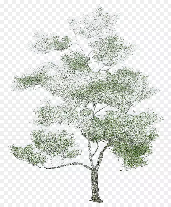 树结构绘制图-树