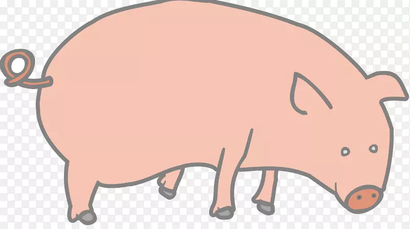猪剪贴画-猪