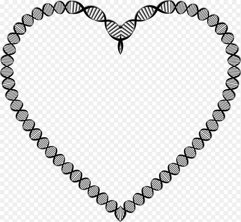 a-dna核酸双螺旋心脏